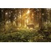 Фотообои Лесной олень DECOCODE 32-0006-PG (300х200см) купить недорого в Брянске