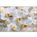 Купить Декоративное панно Белая орхидея 196х134 (4 листа) в Брянске в Интернет-магазине Remont Doma