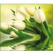Купить Декоративное панно VIP Белые тюльпаны 294х260 (12 листов)   в Брянске в Интернет-магазине Remont Doma