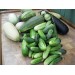 Купить Удобрение Агровита для огурцов  и кабачков 100г в Брянске в Интернет-магазине Remont Doma